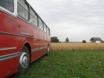 IMG 5582