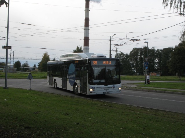 3400 - 2009.10.11, Vilde tee