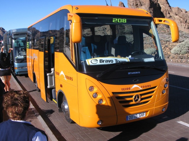 0010 GVF - 2010.12.28, Teide rahvuspark