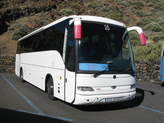 9725 DPD - 2010.12.28, Teide rahvuspark