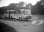5016-3516 - 1993.07-1, Narva mnt