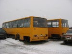 Ikarus 260-ed 362TAN, 365TAN